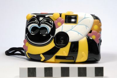 Bee camera